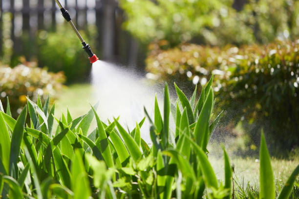24/7 Emergency Cockroach Control experts in Ponderay, ID