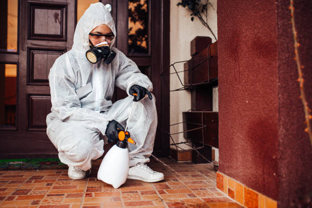 Reliable Cockroach Control contractor in Ponderay, ID by Nex Pest Control